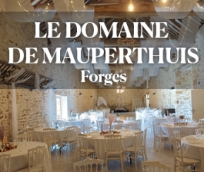 Location Salle Domaine de Mauperthuis - logo