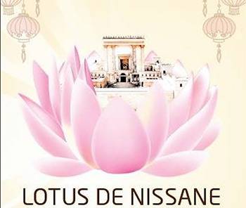 cover Lotus De Nissane